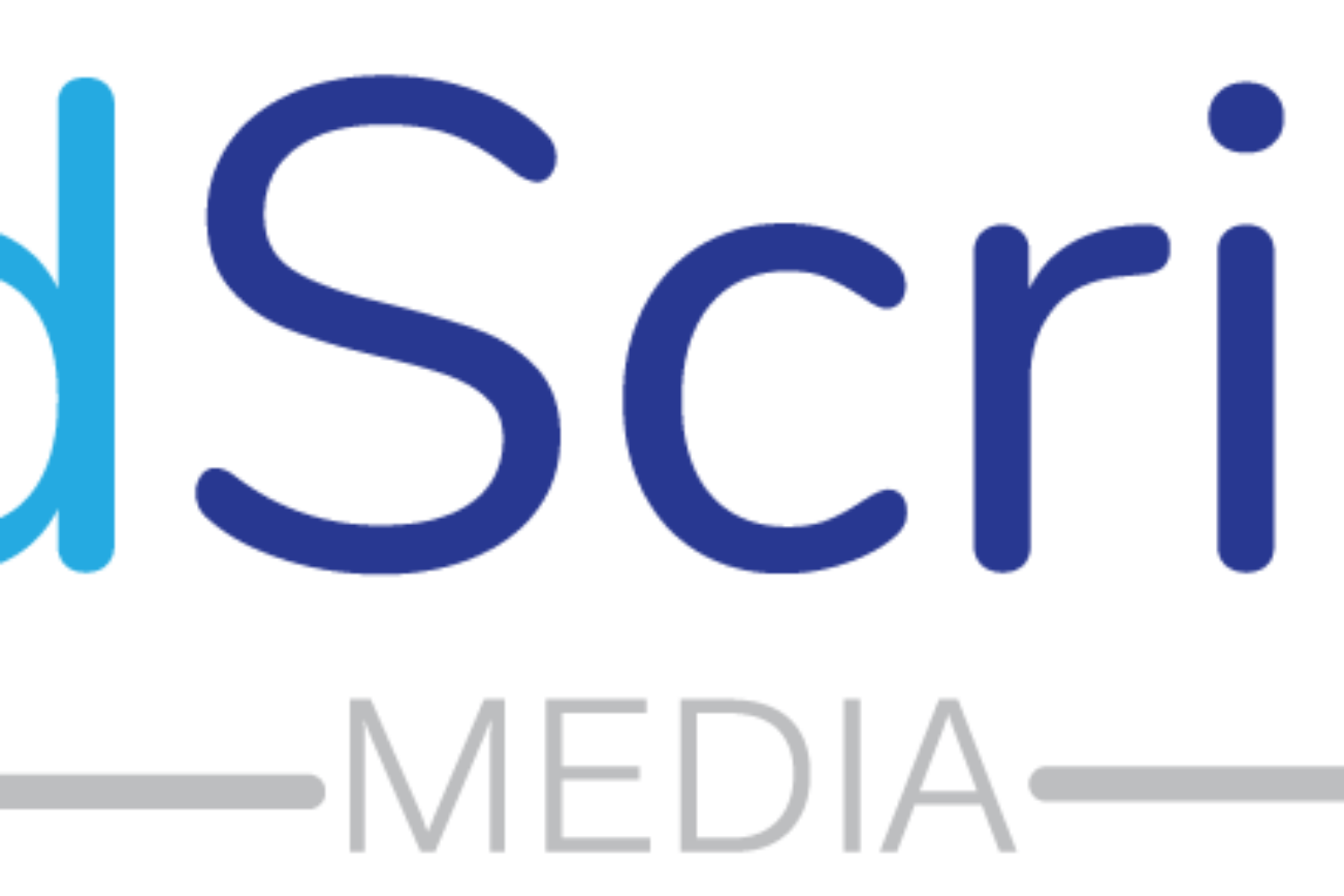 Ad-Script-Media-Google-Facebook-Instagram-Ads-Logo-4