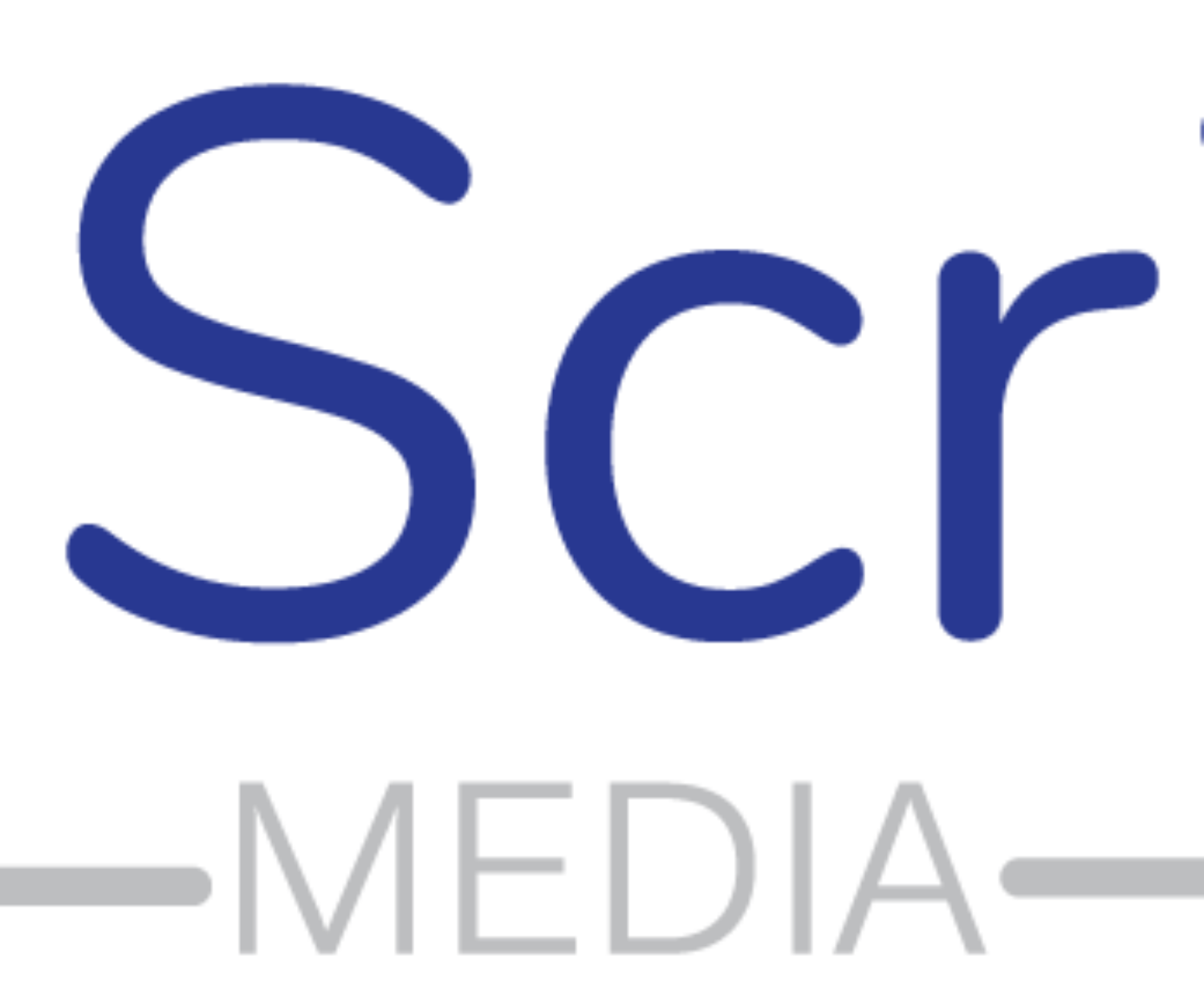 Ad-Script-Media-Google-Facebook-Instagram-Ads-Logo-4